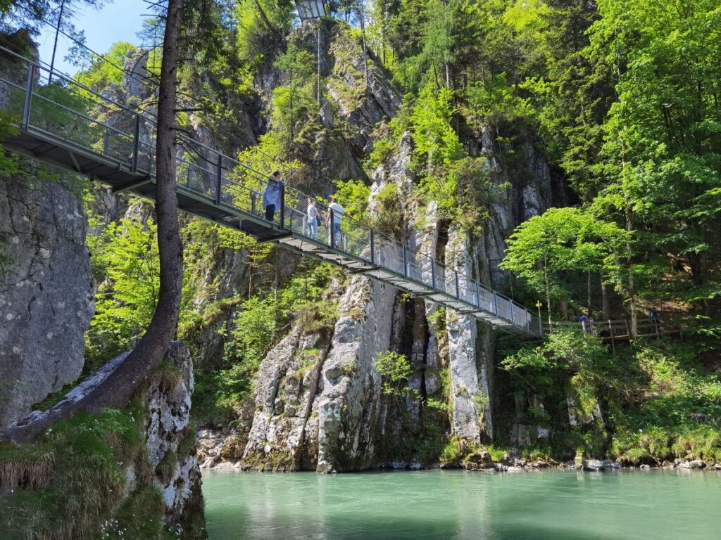 Die Klobenstein Hängebrücke wollen die meisten Besucher sehen