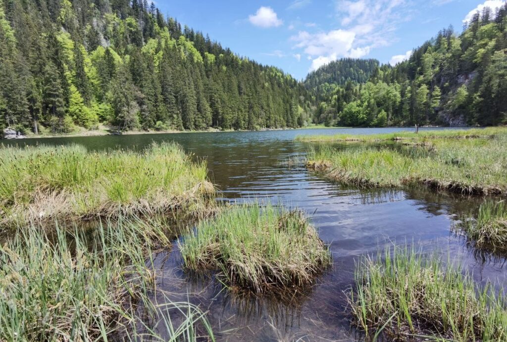 Taubensee Kössen - romantischer Bergsee in den Chiemgauer Alpen