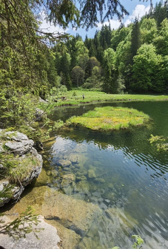 Die kleine Insel im Taubensee Schleching