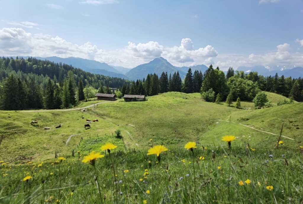 Taubensee Wanderung - mit viel Panorama bei der Moosenhütte