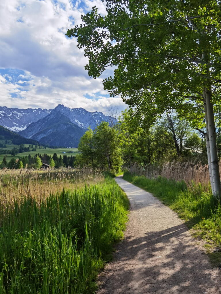 Der Walchsee Rundweg führt einmal rund um den See in Tirol