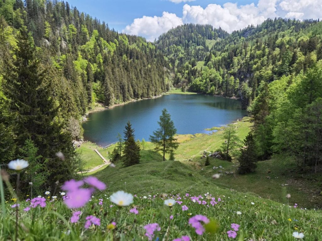 Mitten durch den Taubensee verläuft die Grenze zwischen Bayern und Tirol - eine der Kössen Sehenswürdigkeiten