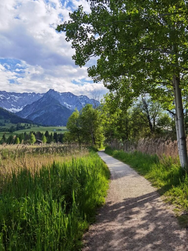 Einmal rund um den Walchsee wandern, geht sogar mit Kinderwagen - ein Traum zu jeder Jahreszeit 