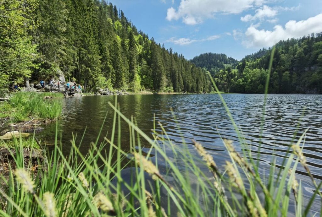 Blick auf den Taubensee in den Chiemgauer Alpen