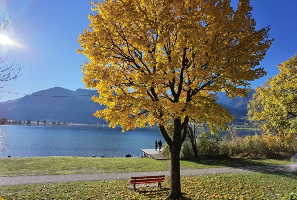 Der Walchsee ist zu jeder Jahreszeit schön: Hier die bunte Blattfärbung im Herbst