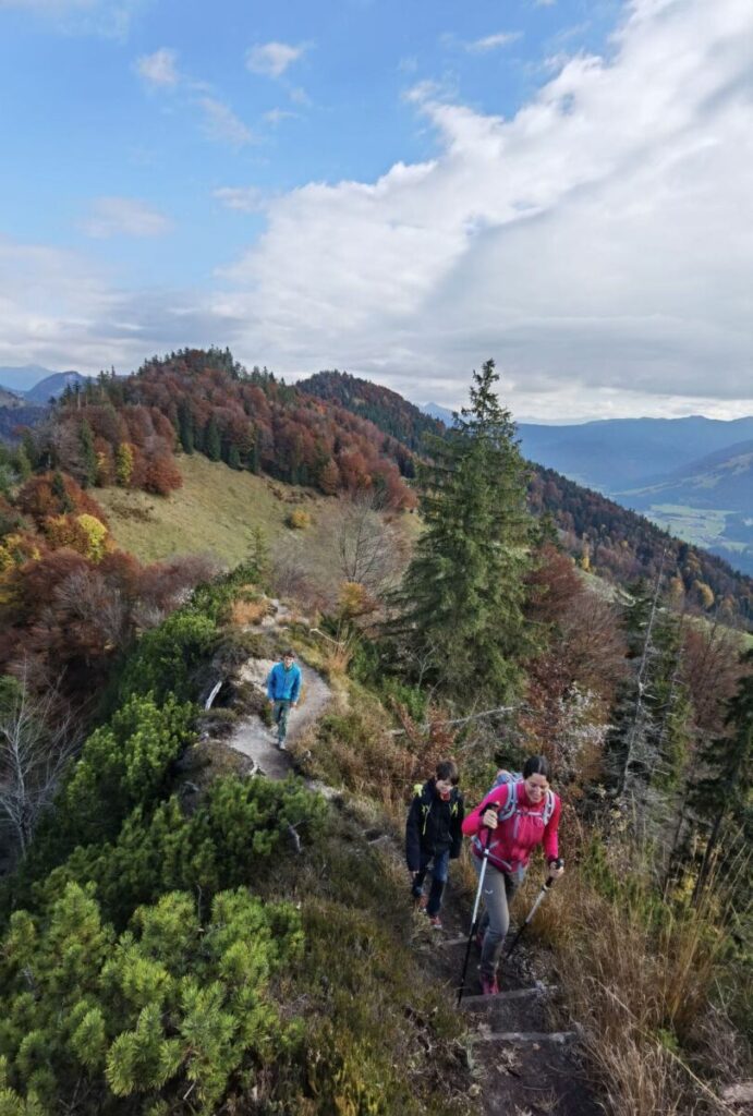 Walchsee wandern - hier zwischen dem Harausattel und der Harauer Spitze