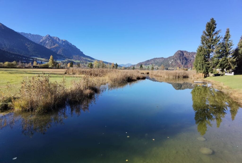 Walchsee wandern Rundweg - ein Augenschmaus!