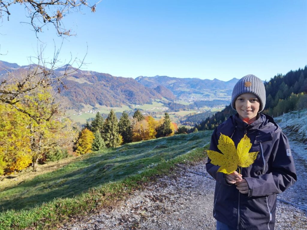 Walchsee wandern mit Kindern - leichte Wege, die Spaß machen