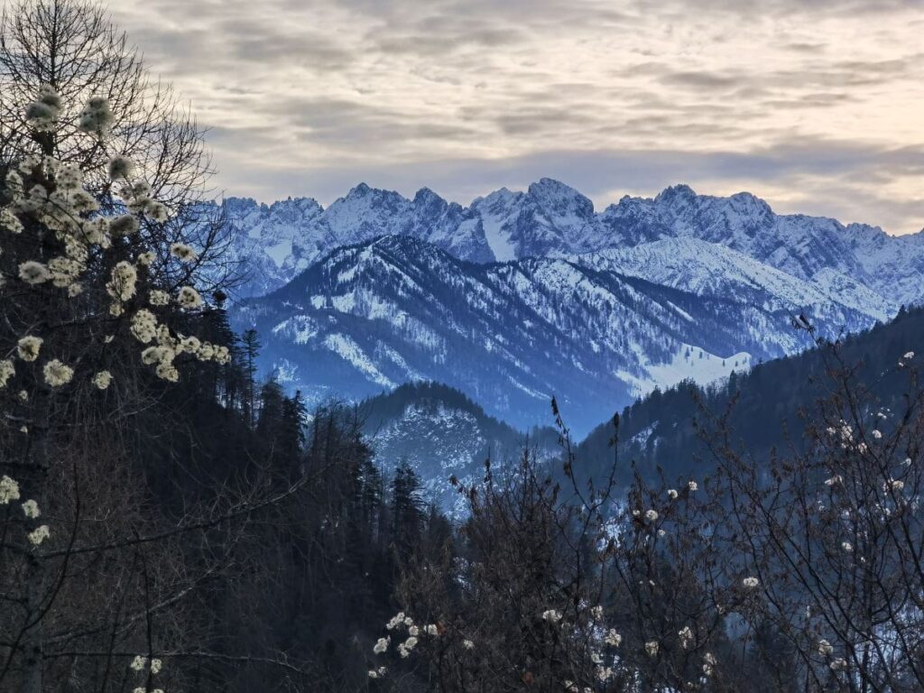 Das ist der beeindruckende Blick von der Streichenkapelle auf das Kaisergebirge