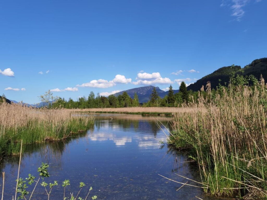 Walchsee