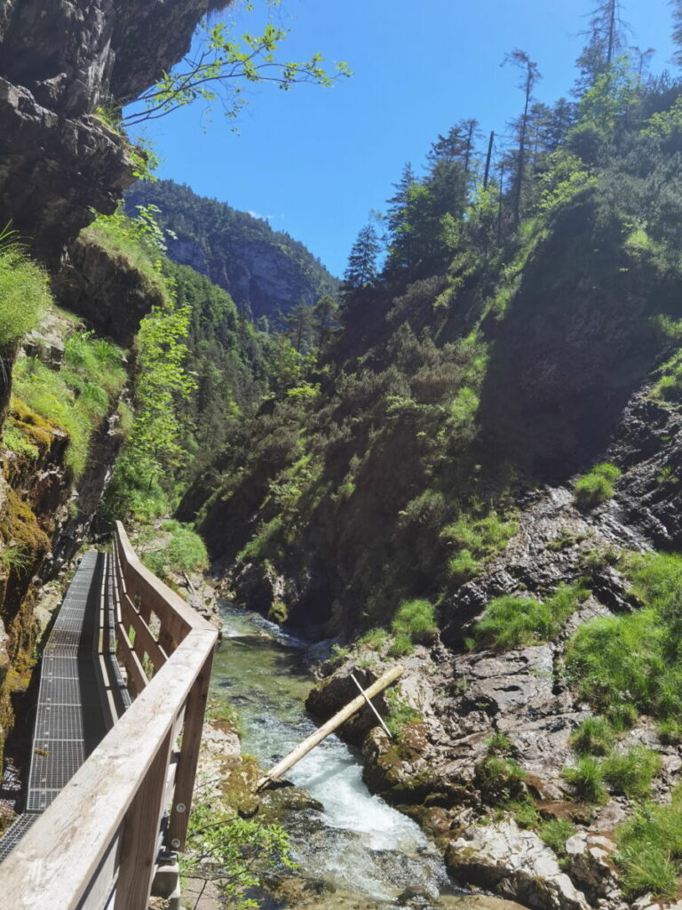 Entdecke die schönsten Plätze der Chiemgauer Alpen rund um Walchsee und Kössen