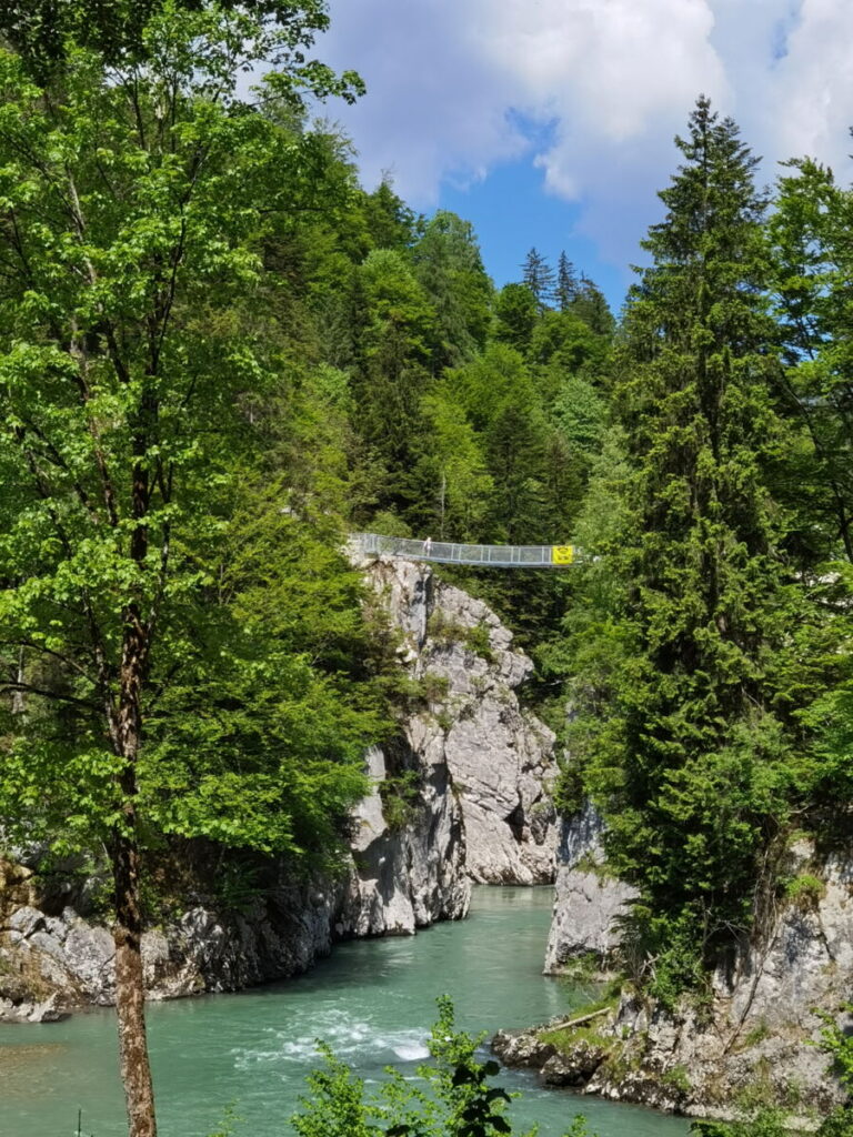 Die Hängebrücke überspannt die Schmalstelle am Entenloch