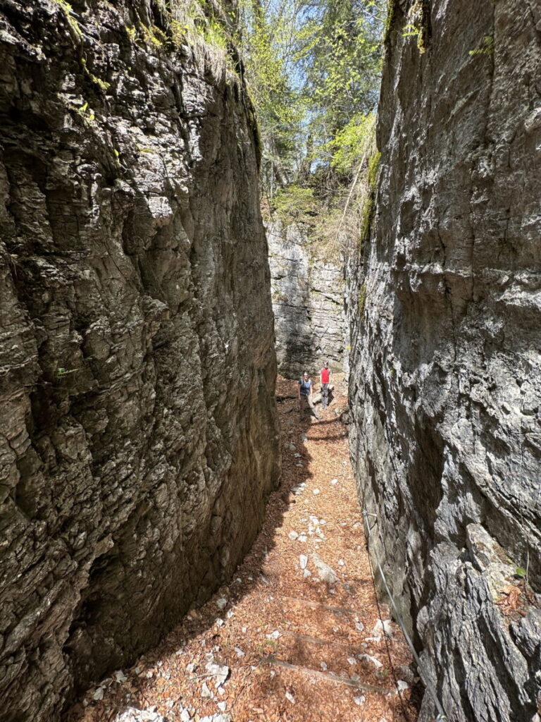 Mitten im Felsenlabyrinth Teufelsgasse