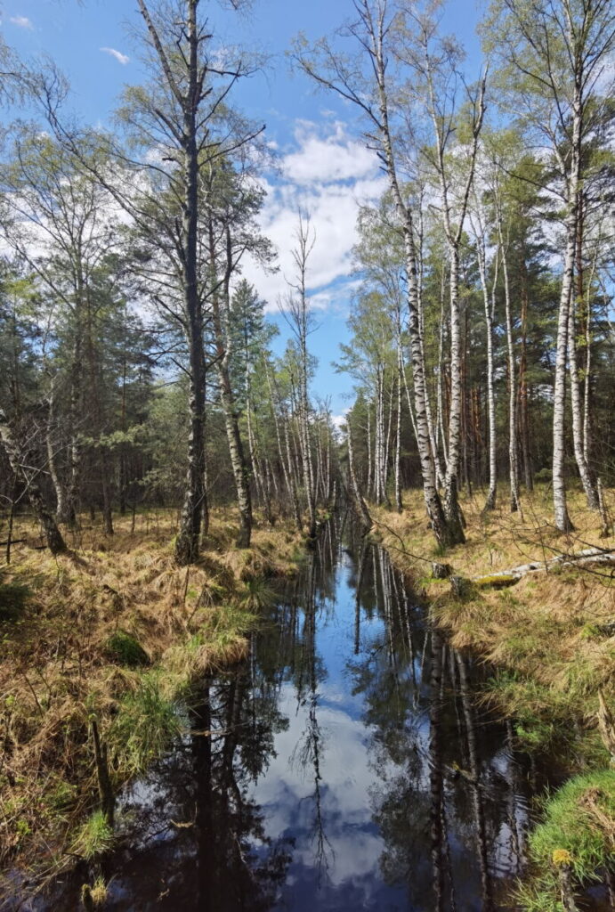 Ausflug in die Kendlmühlfilzen - beeindruckende Naturlandschaft in den Chiemgauer Alpen