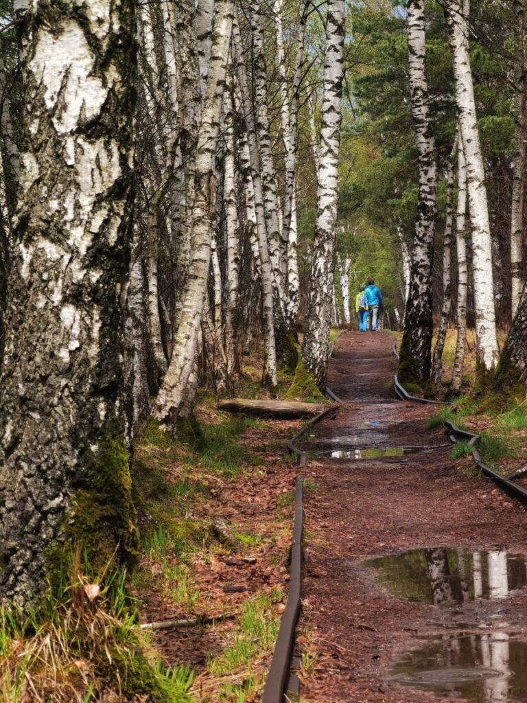 Der Kendlmühlfilzen Rundweg entlang der historischen Schienen der Torfbahn