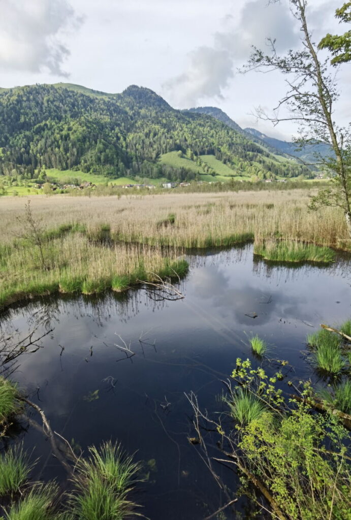 Schwemm Walchsee - das größte Moor in Tirol