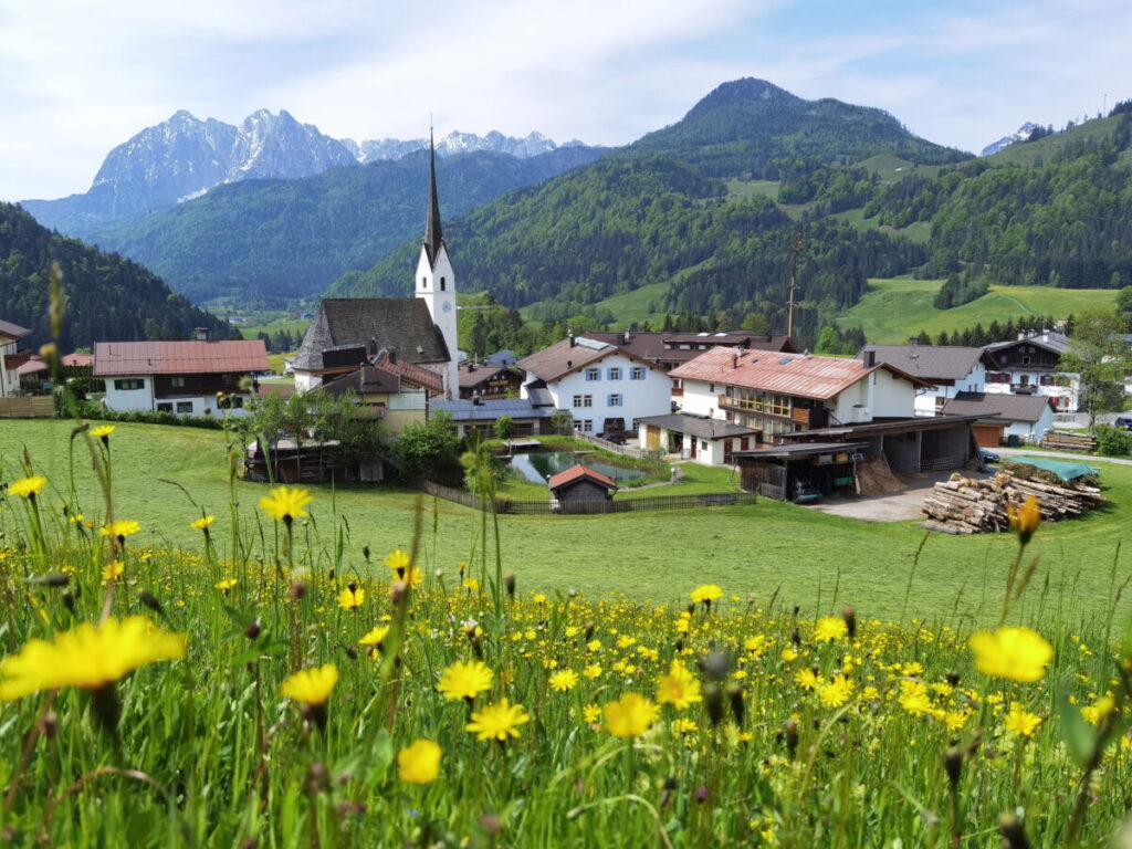 Blick über Schwendt auf das Kaisergebirge